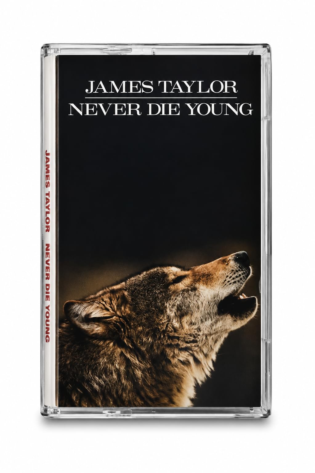 James Taylor – Never Die Young Audio Cassette
